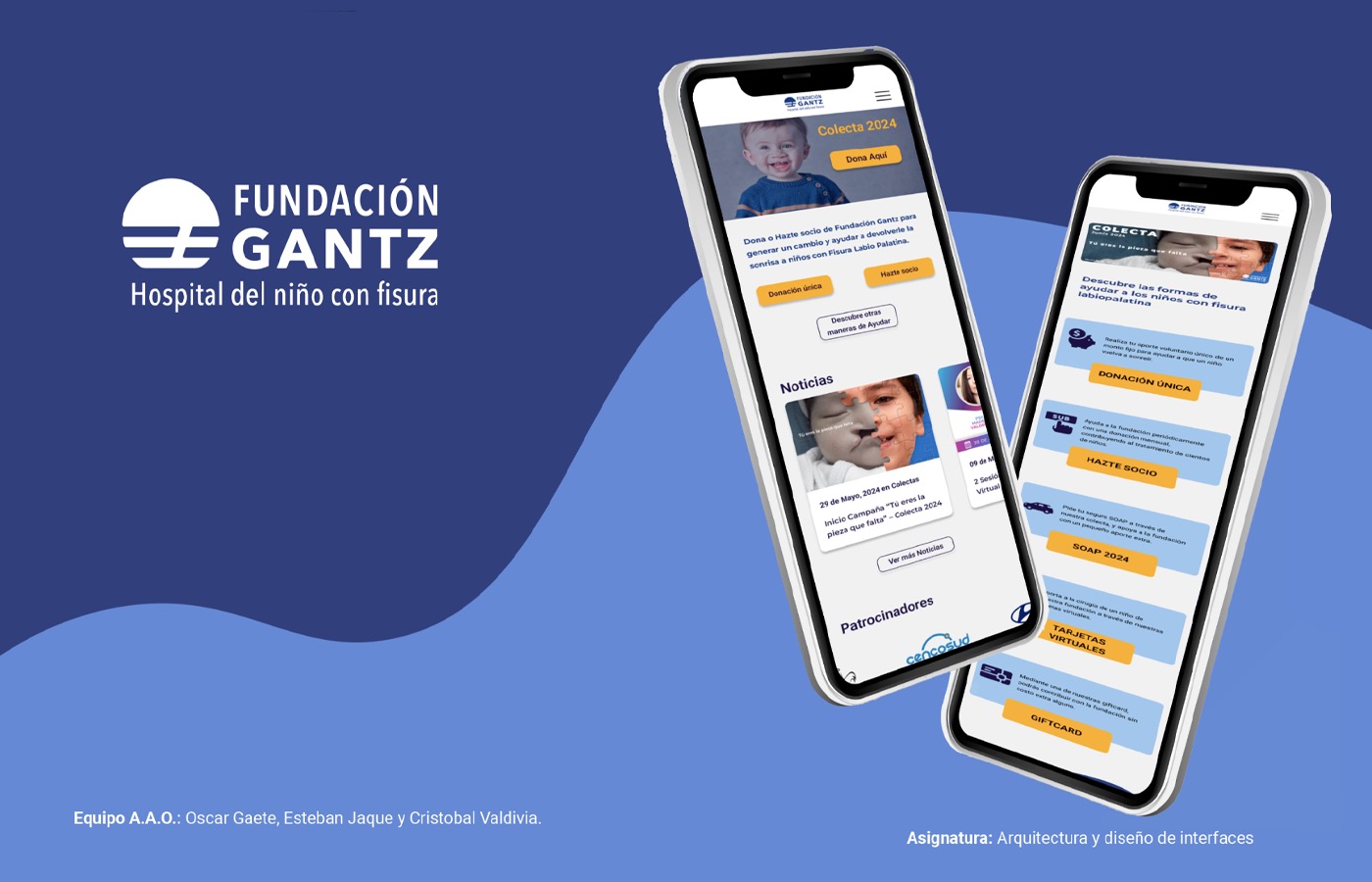 Rediseño Sitio Web Fundación Gantz