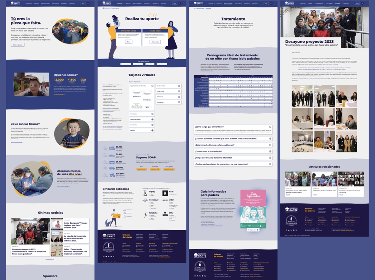 Rediseño Sitio Web Fundación Gantz