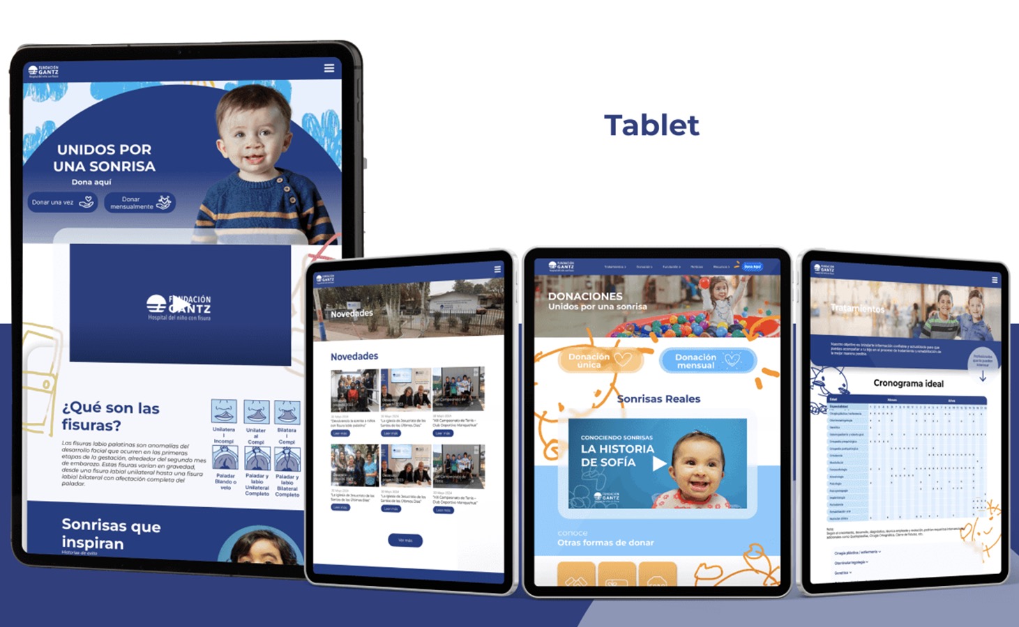 Rediseño Sitio Web Fundación Gantz