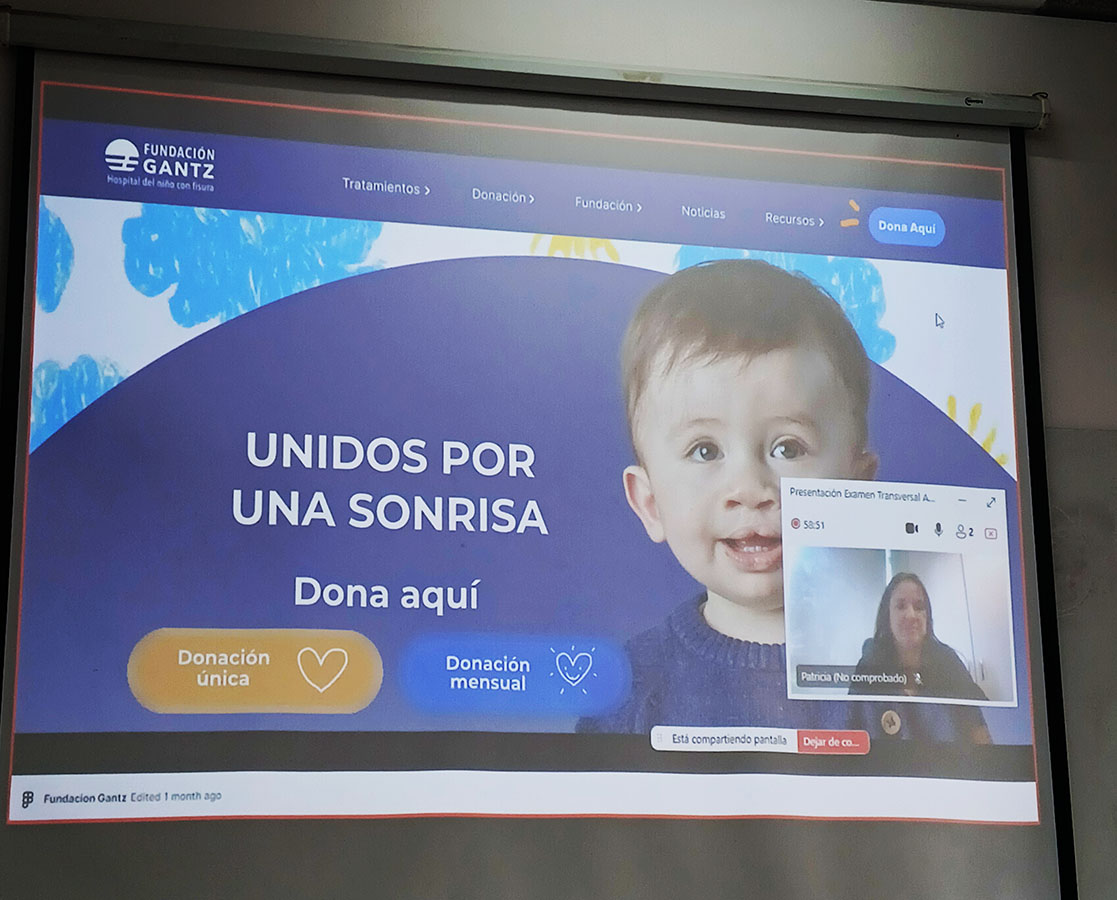 Rediseño Sitio Web Fundación Gantz