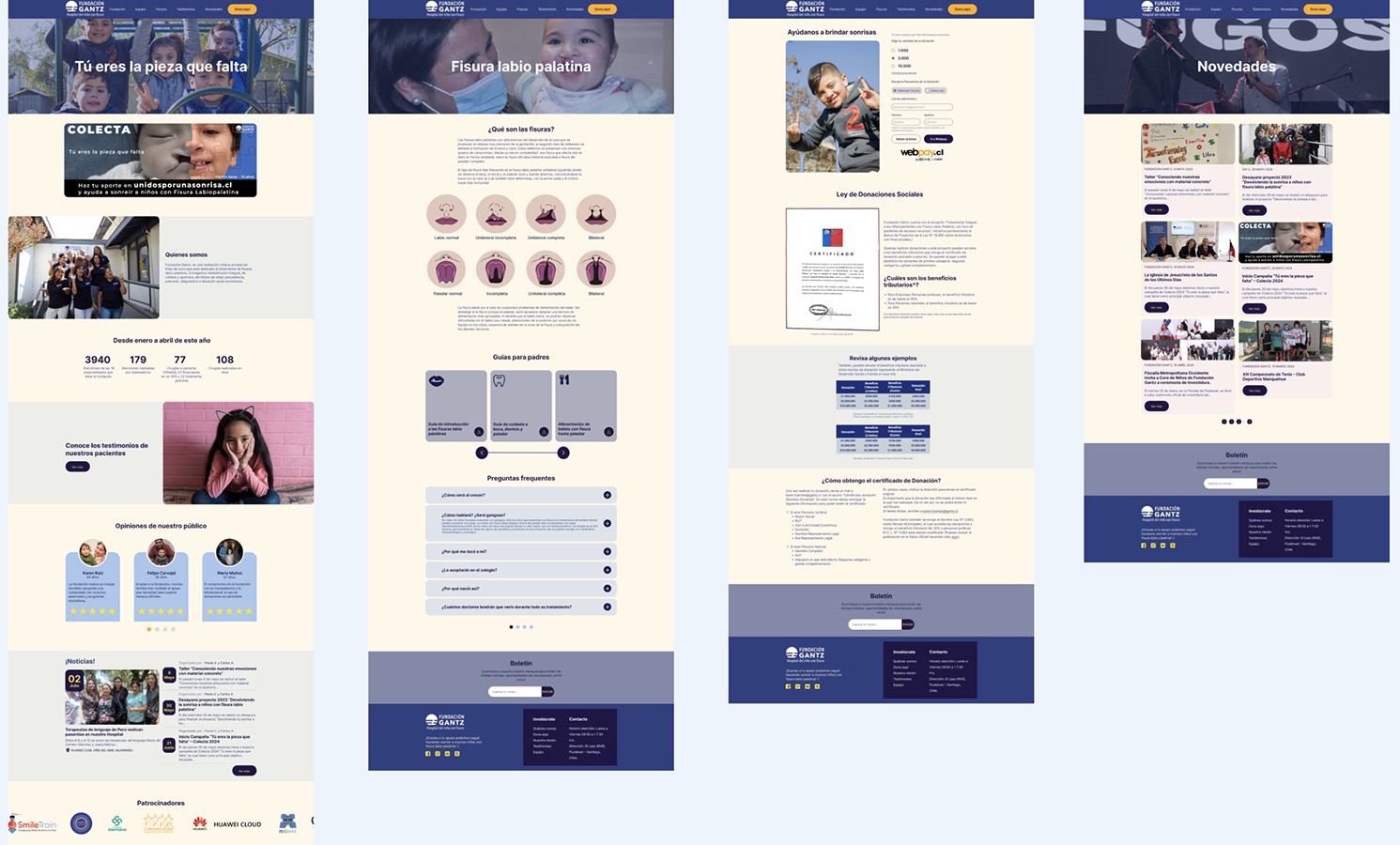 Rediseño Sitio Web Fundación Gantz