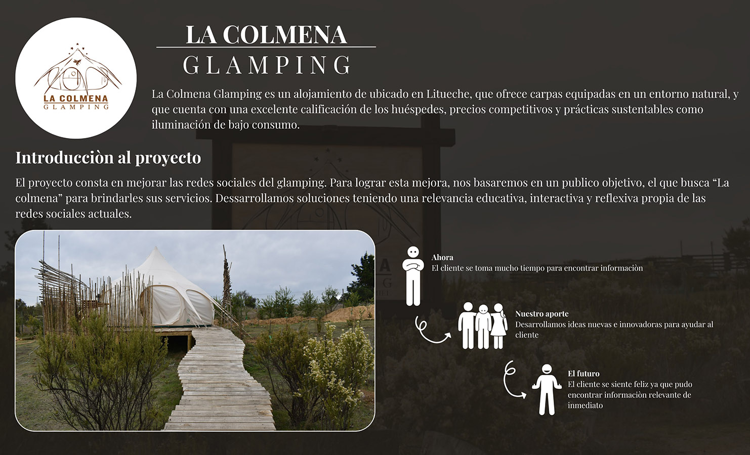 Proyecto Colaborativo Mundo Miel La Colmena Glamping