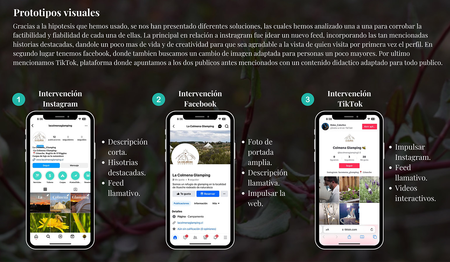 Proyecto Colaborativo Mundo Miel La Colmena Glamping