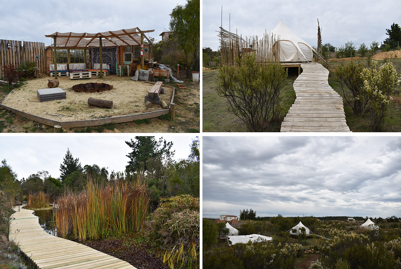 Proyecto Colaborativo Mundo Miel La Colmena Glamping