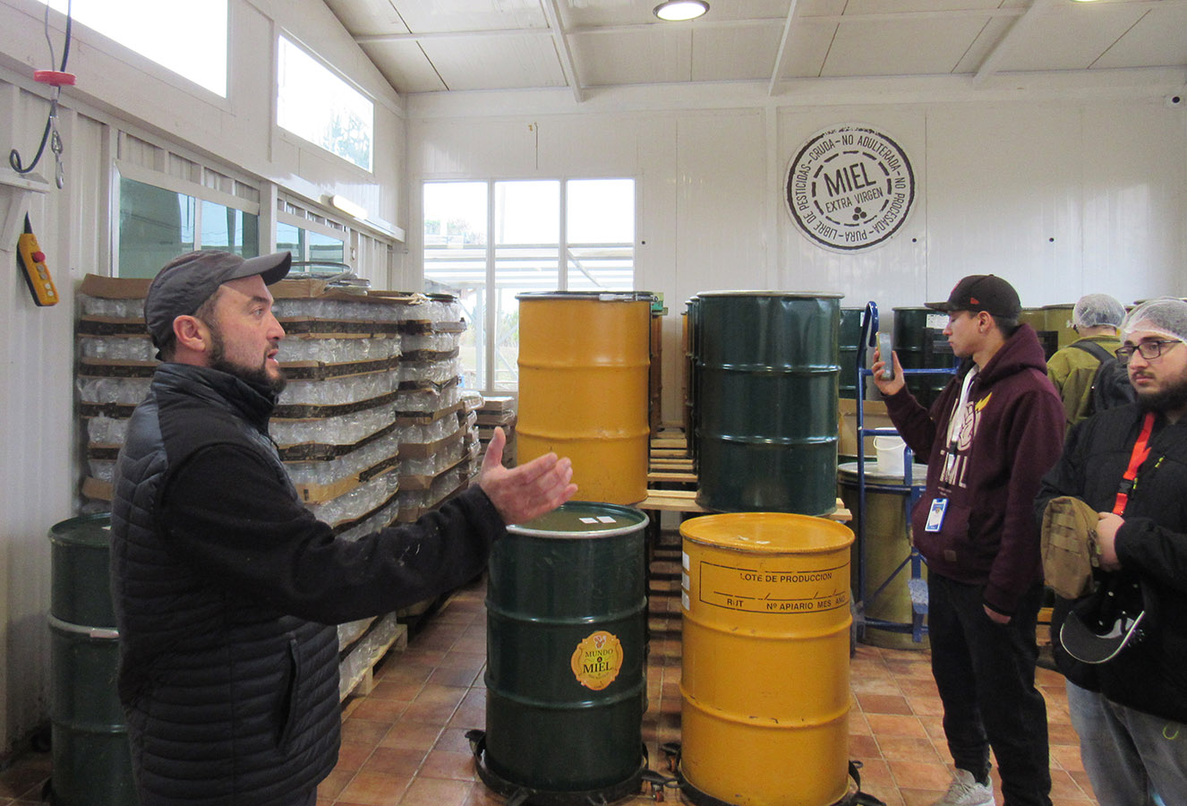 Proyecto Colaborativo Mundo Miel La Colmena Glamping