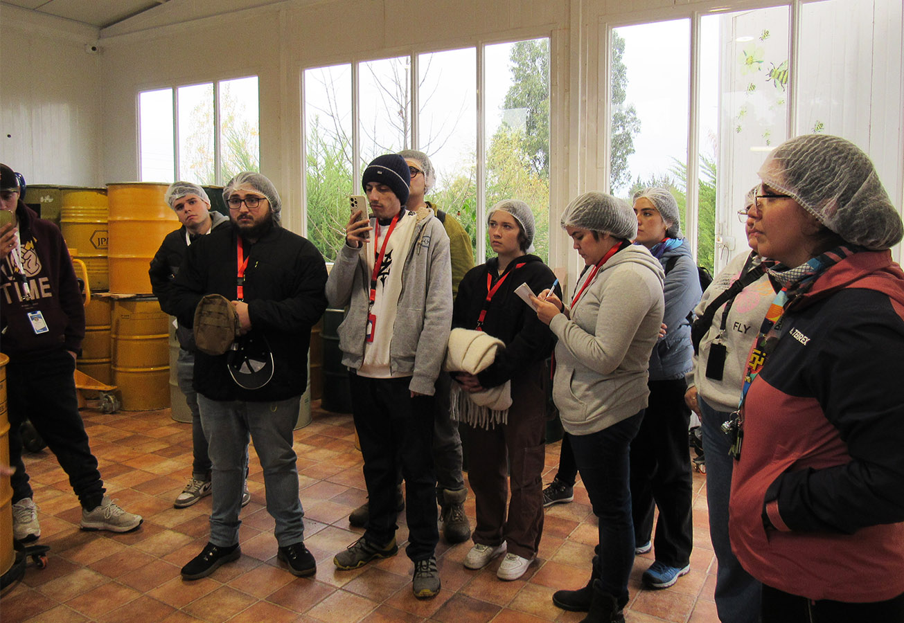 Proyecto Colaborativo Mundo Miel La Colmena Glamping