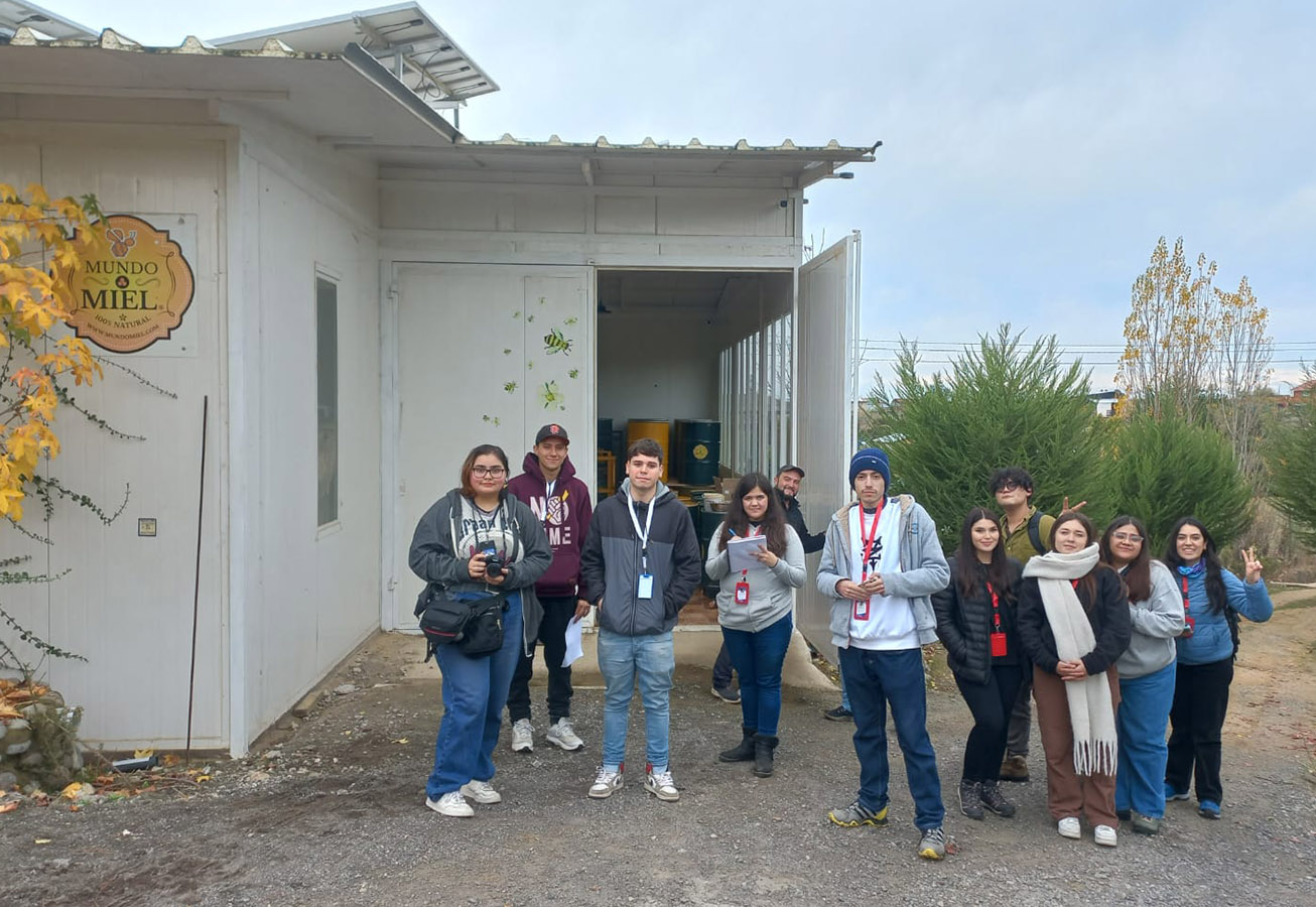 Proyecto Colaborativo Mundo Miel La Colmena Glamping