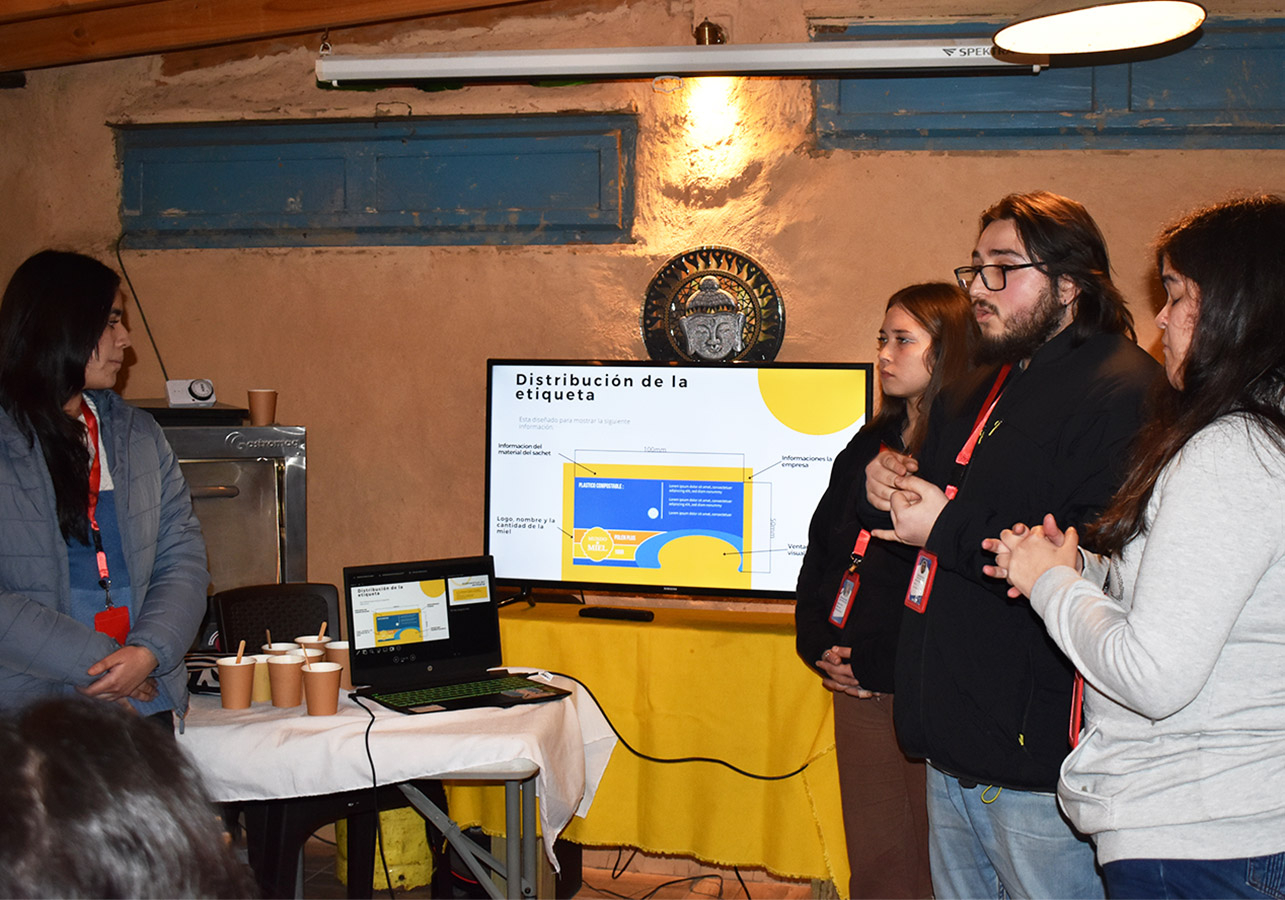 Proyecto Colaborativo Mundo Miel La Colmena Glamping