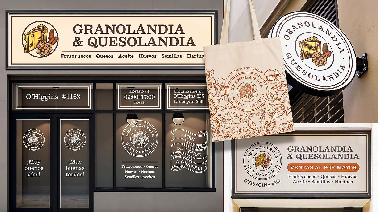 Proyecto Profesional – Identidad Visual