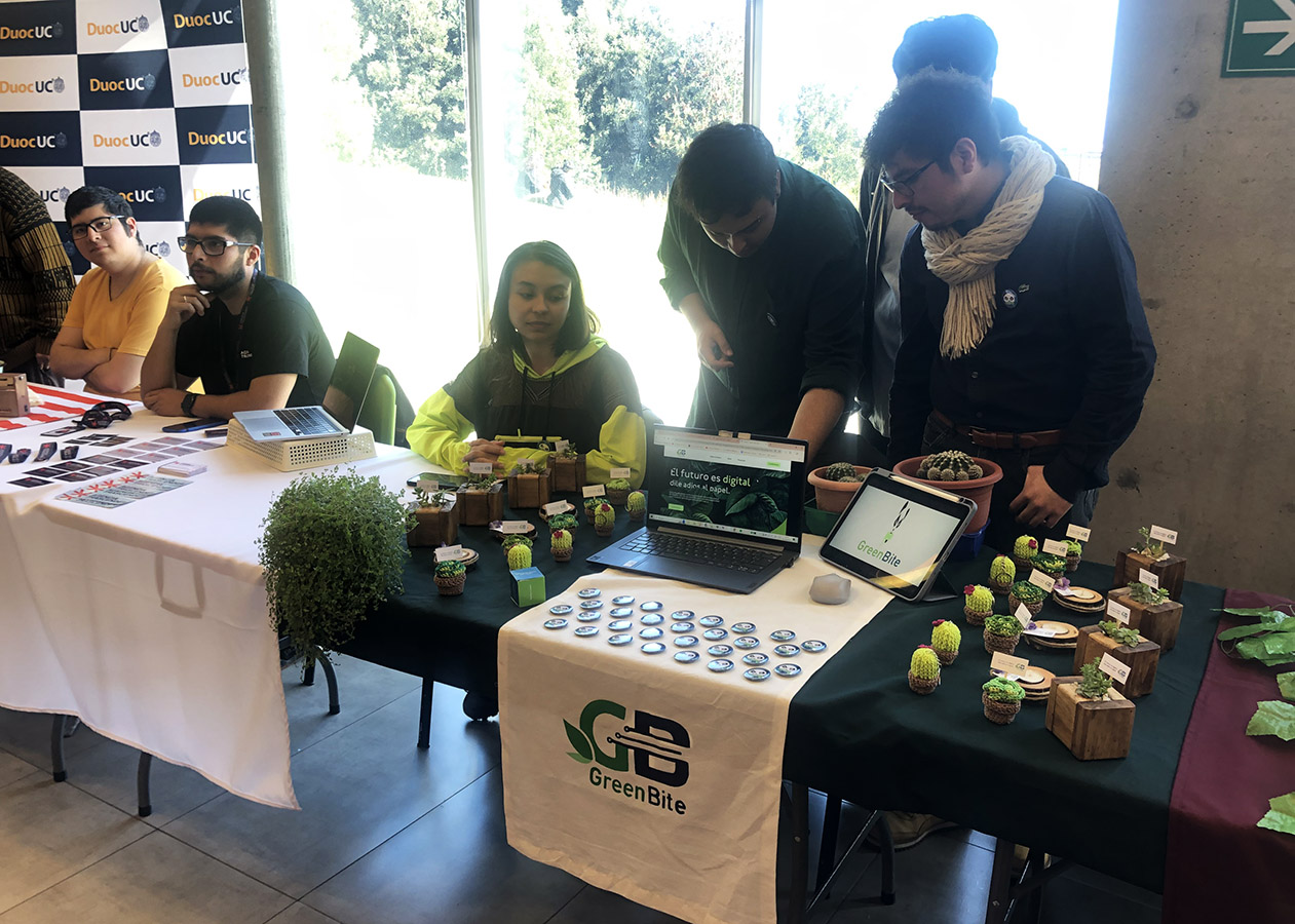 Proyecto Profesional – Identidad Visual