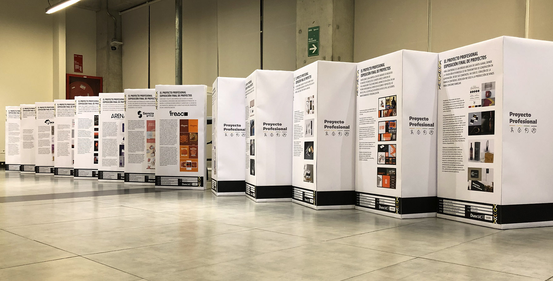 Proyecto Profesional – Identidad Visual