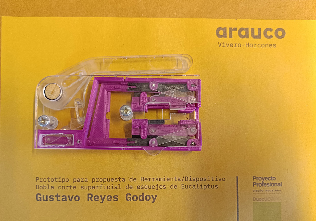 Herramienta de Corte de Estacas de Eucalyptus