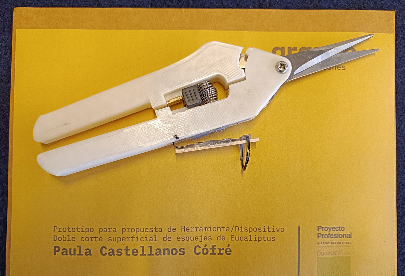 Herramienta de Corte de Estacas de Eucalyptus