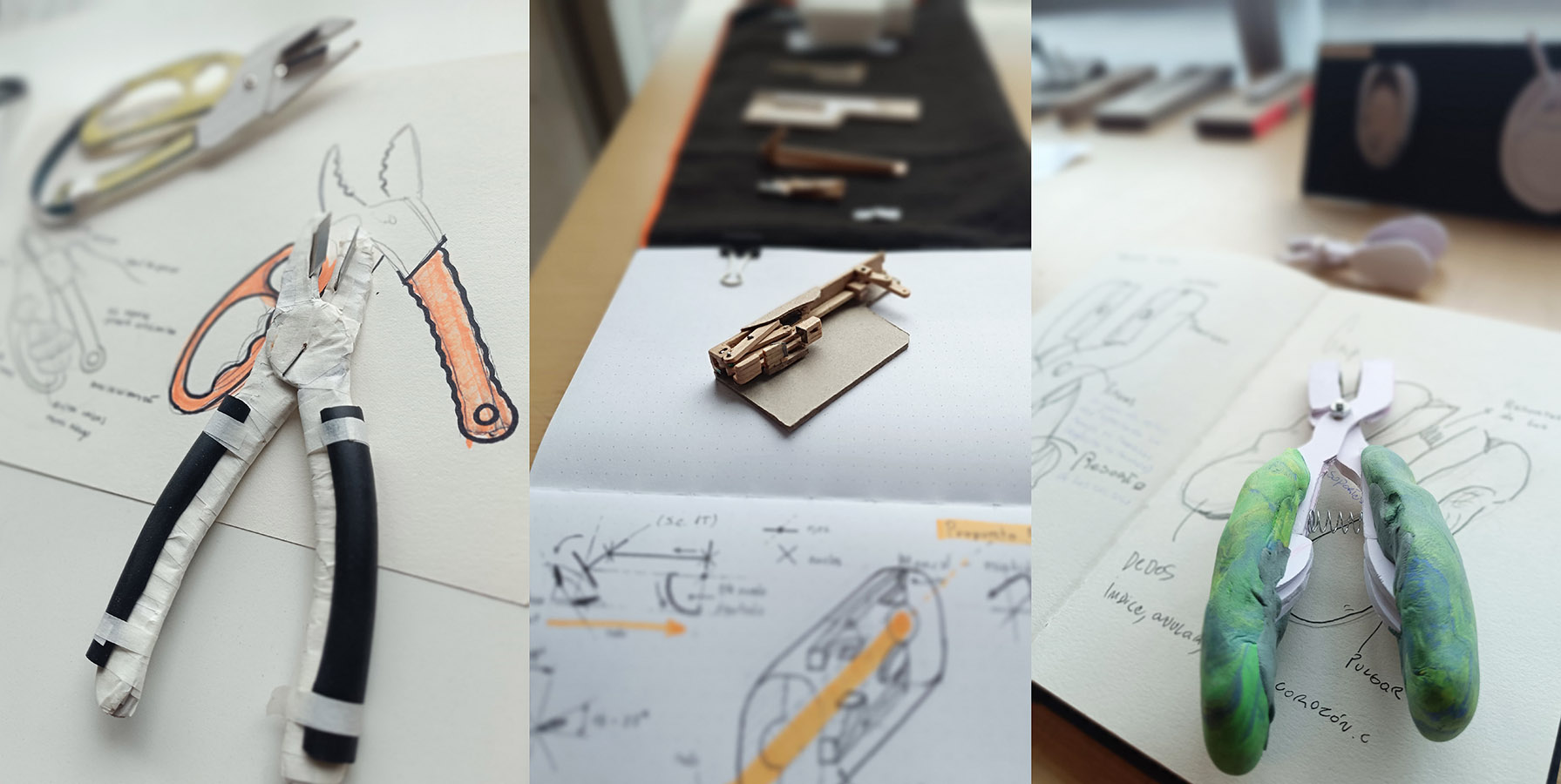 Herramienta de Corte de Estacas de Eucalyptus