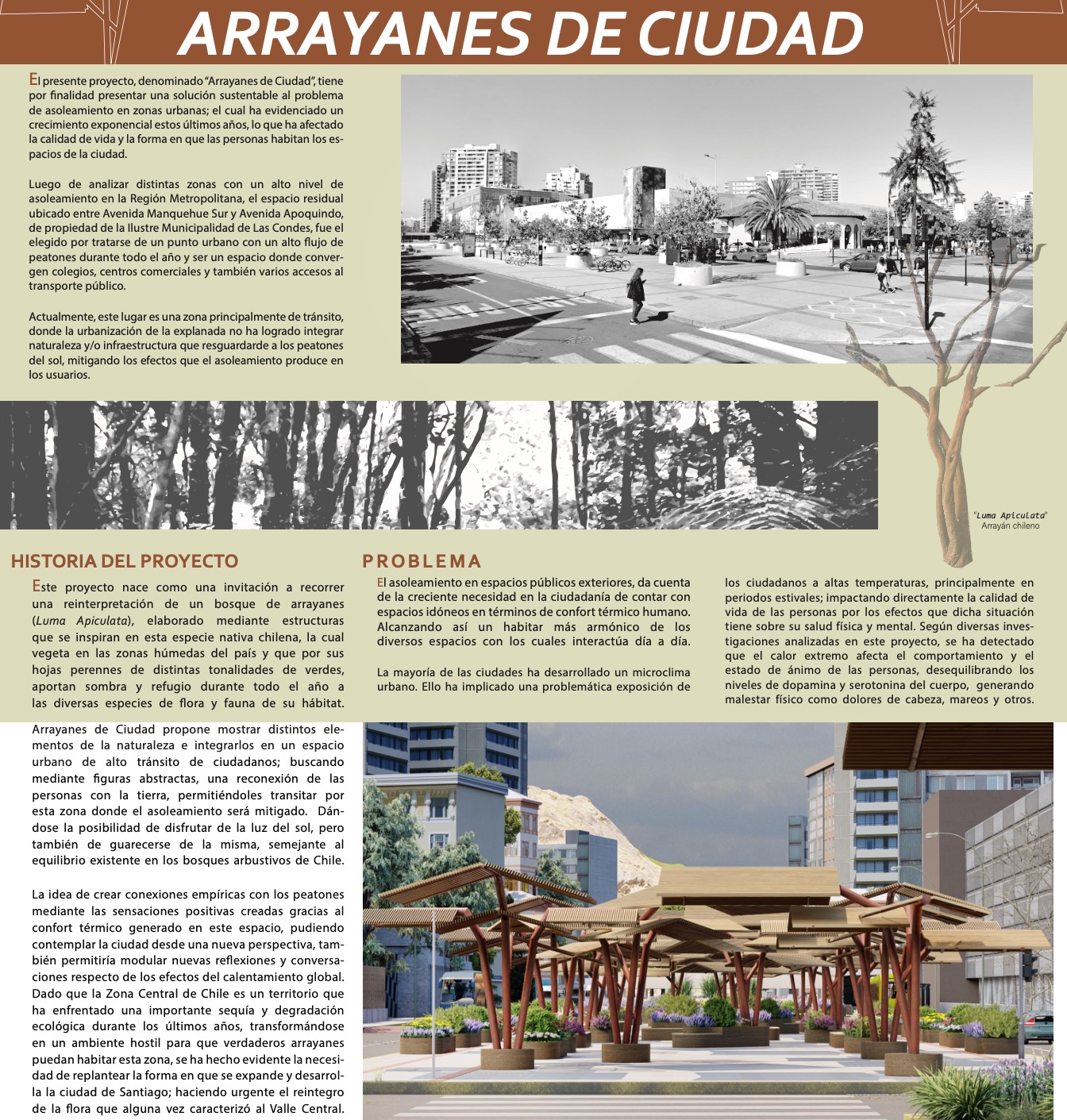 Proyectos Colaborativos con Clientes Reales en Diseño de Ambientes