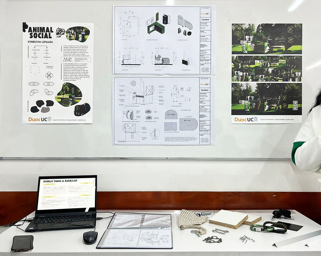 Propuesta Mejora Espacios Efímeros Animal Kombucha