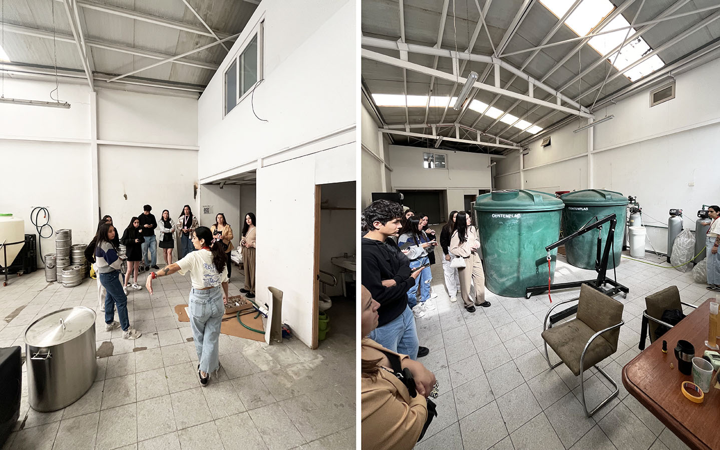 Propuesta Mejora Espacios Efímeros Animal Kombucha