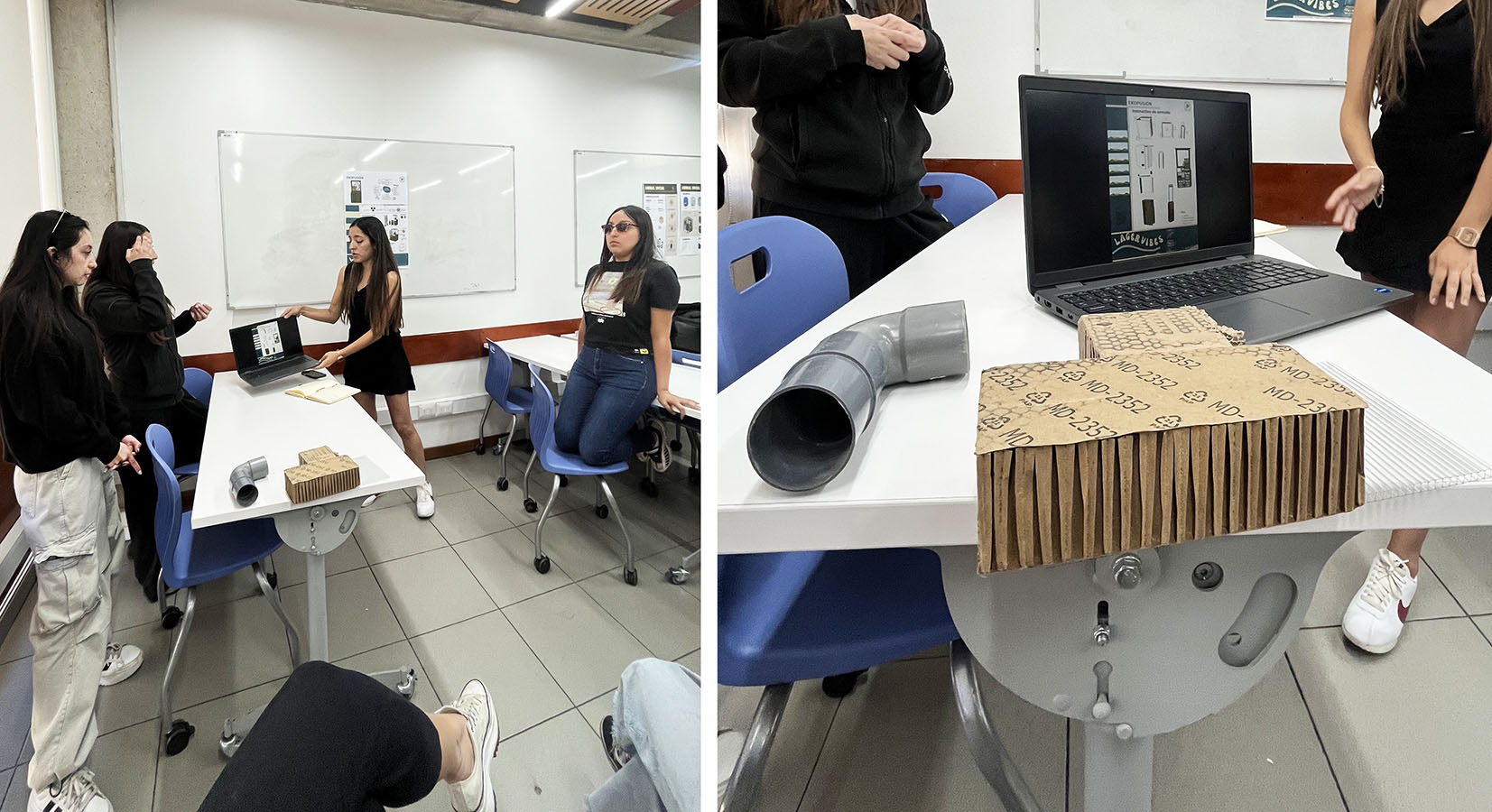 Propuesta Mejora Espacios Efímeros Animal Kombucha