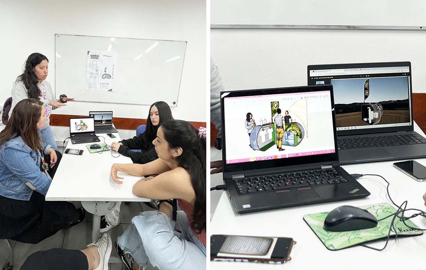 Propuesta Mejora Espacios Efímeros Animal Kombucha