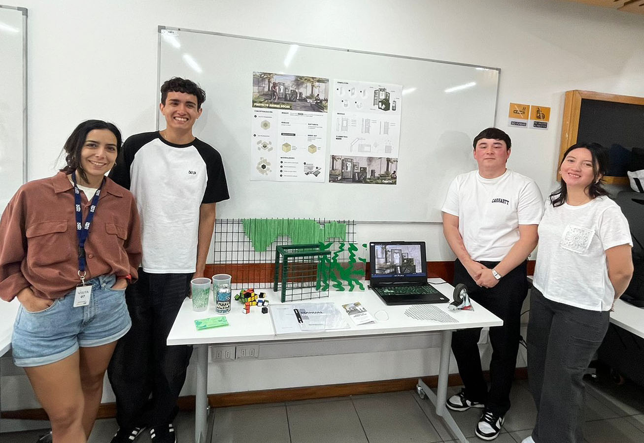 Propuesta Mejora Espacios Efímeros Animal Kombucha