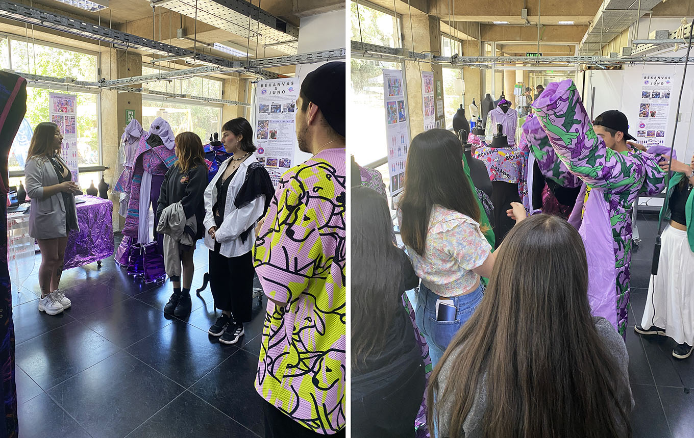 Desarrollo de Colección BEKANVAS