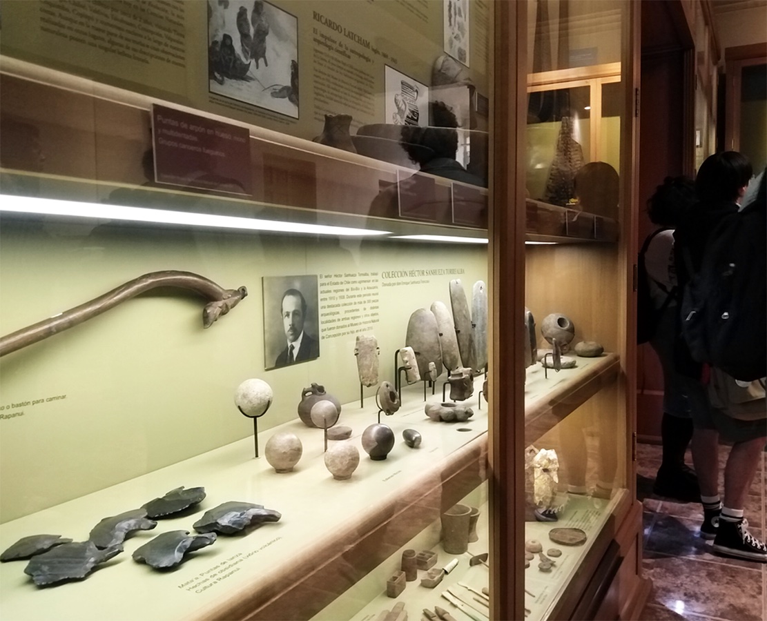 Productos Lúdicos Adultos Mayores Museo Historia Natural de Concepción