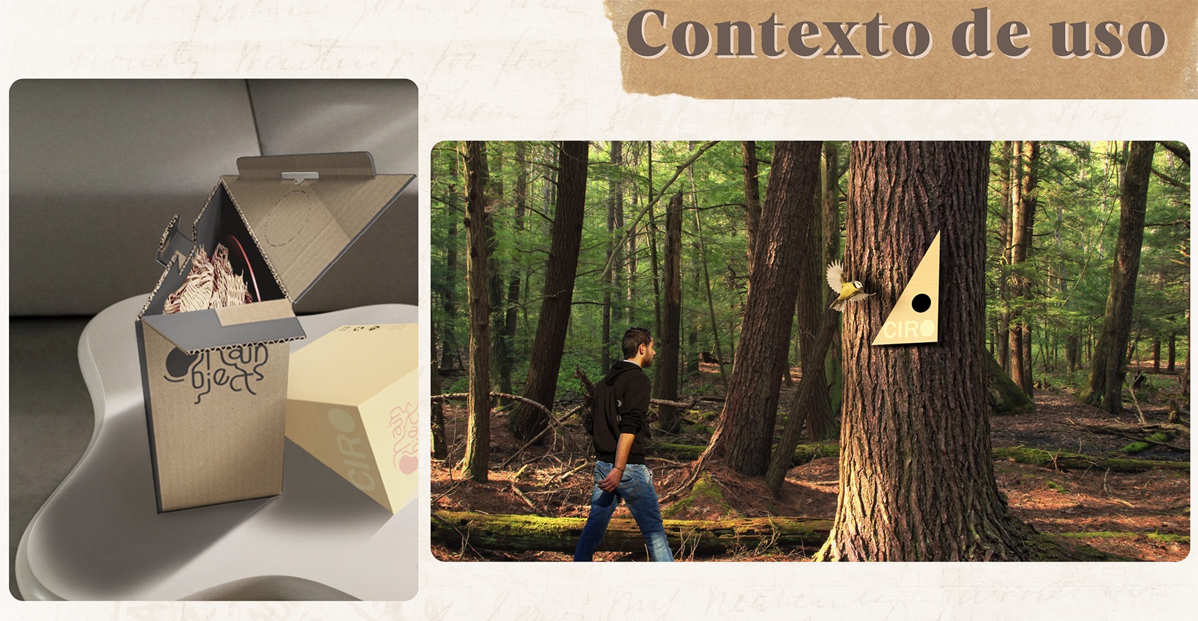 Packaging Sustentable para NUEVE Estudio Diseño