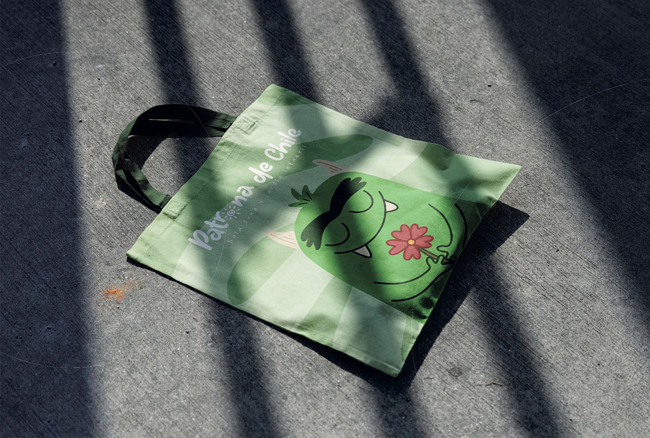 Sistema Identidad + Señalética Jardín Infantil Patrona de Chile