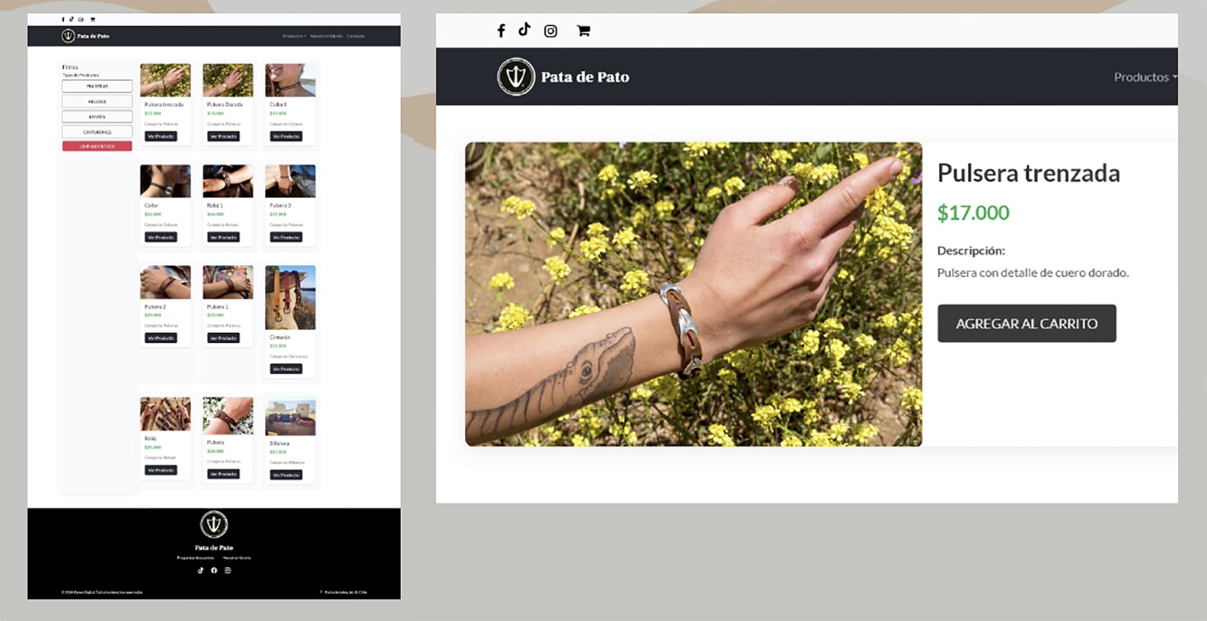 Desarrollo Sitios Web PYMES Sercotec Puente Alto