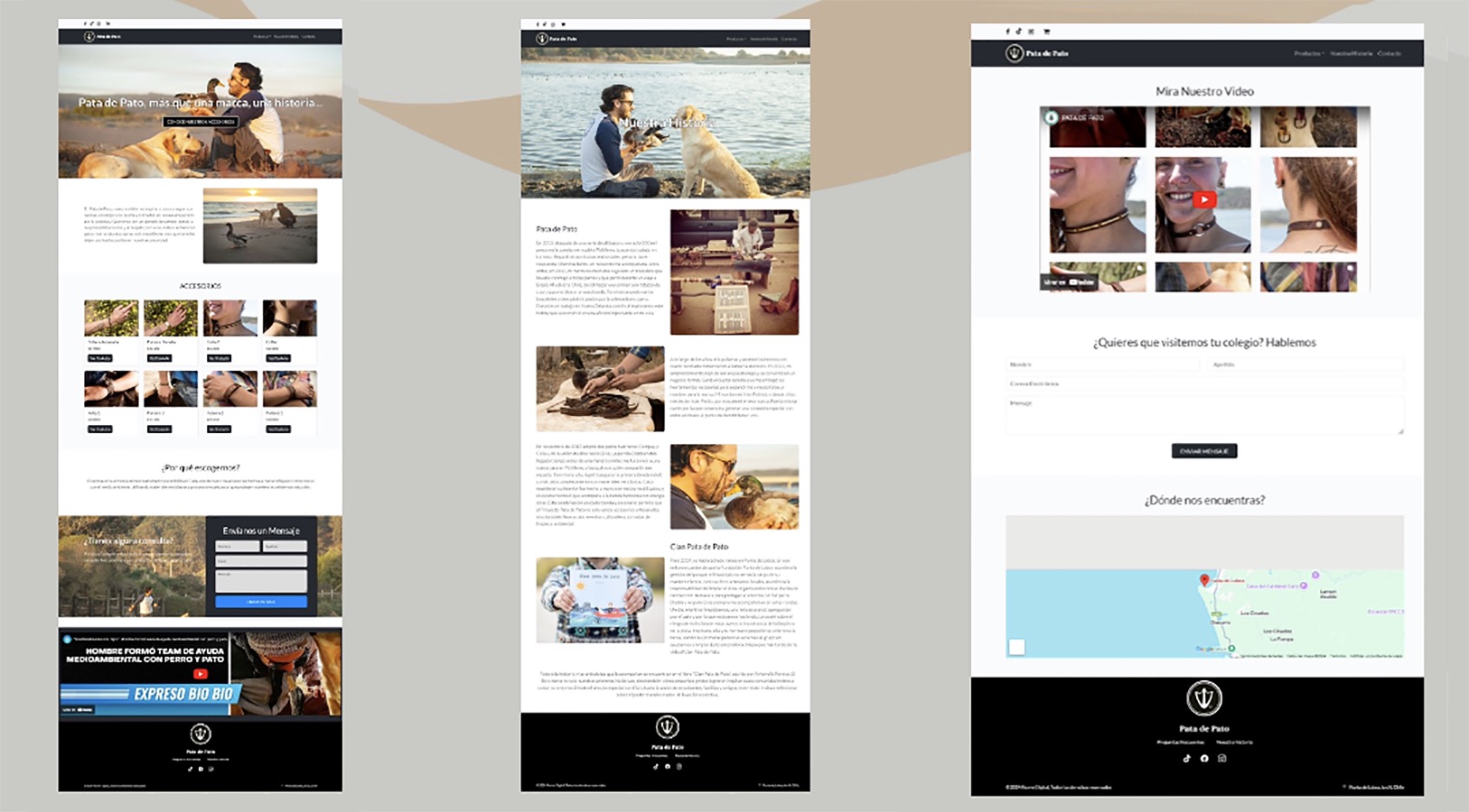 Desarrollo Sitios Web PYMES Sercotec Puente Alto