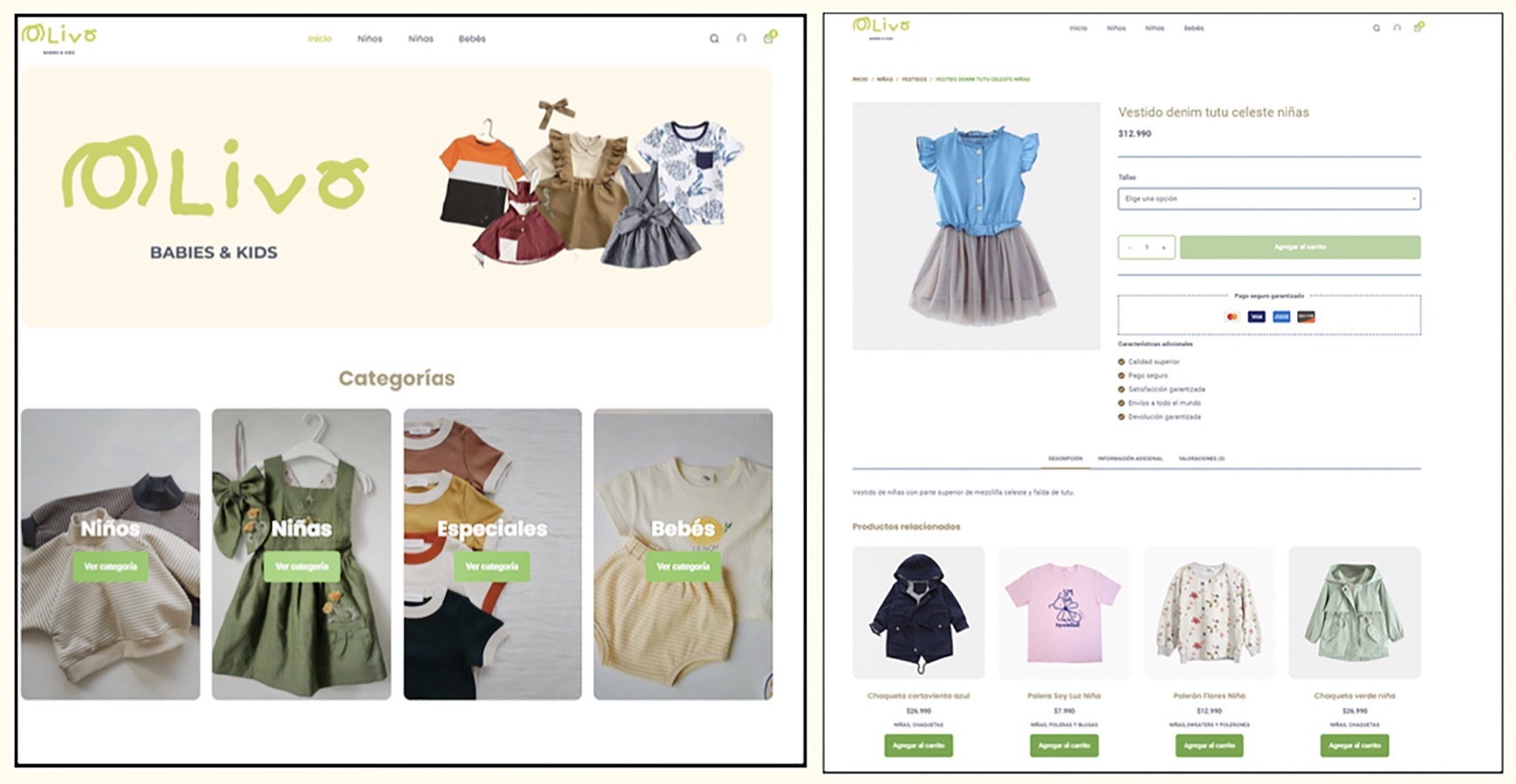 Desarrollo Sitios Web PYMES Sercotec Puente Alto