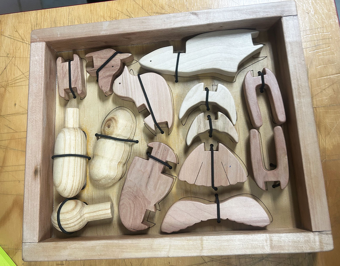 Desarrollo Línea de Juguetes TEA Fun Toys