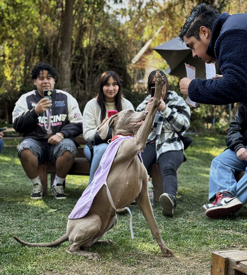 Diseñando Experiencias en Tratamiento de Comunidad TEA