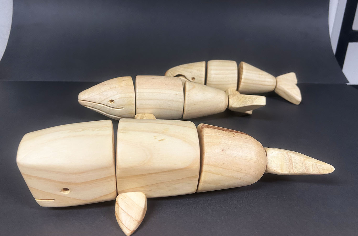 Desarrollo Línea de Juguetes TEA Fun Toys