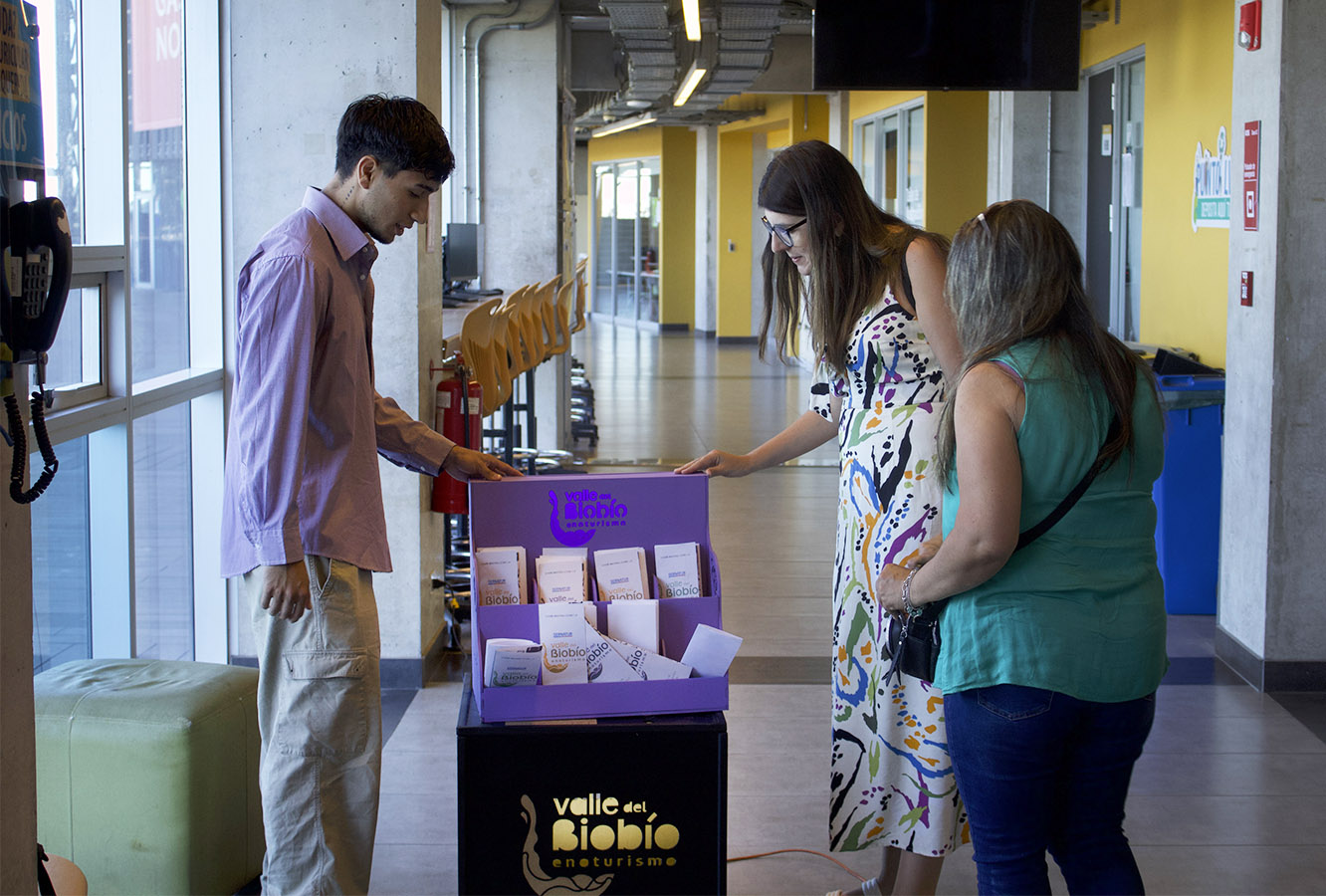 Kit Mobiliario La Casa del Vino