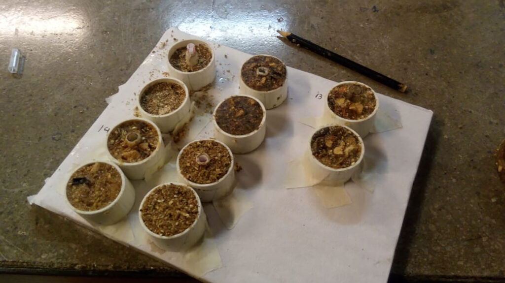 Desarrollo de Revestimiento Acústico con el uso de Algas (ALGÚSTICA)