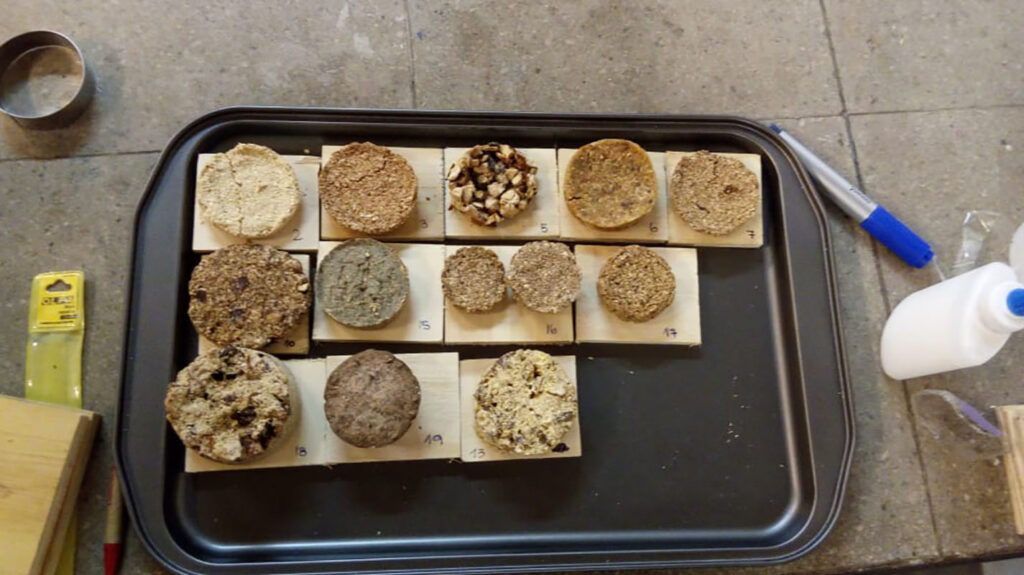 Desarrollo de Revestimiento Acústico con el uso de Algas (ALGÚSTICA)