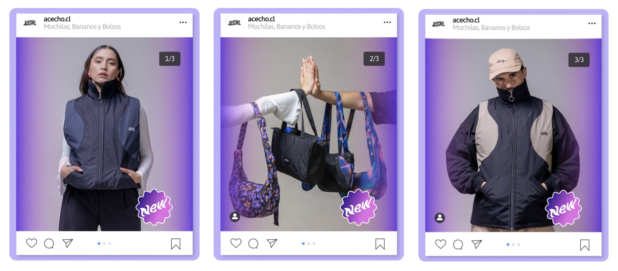 IMPULSA PYME – Proyecto Profesional SC