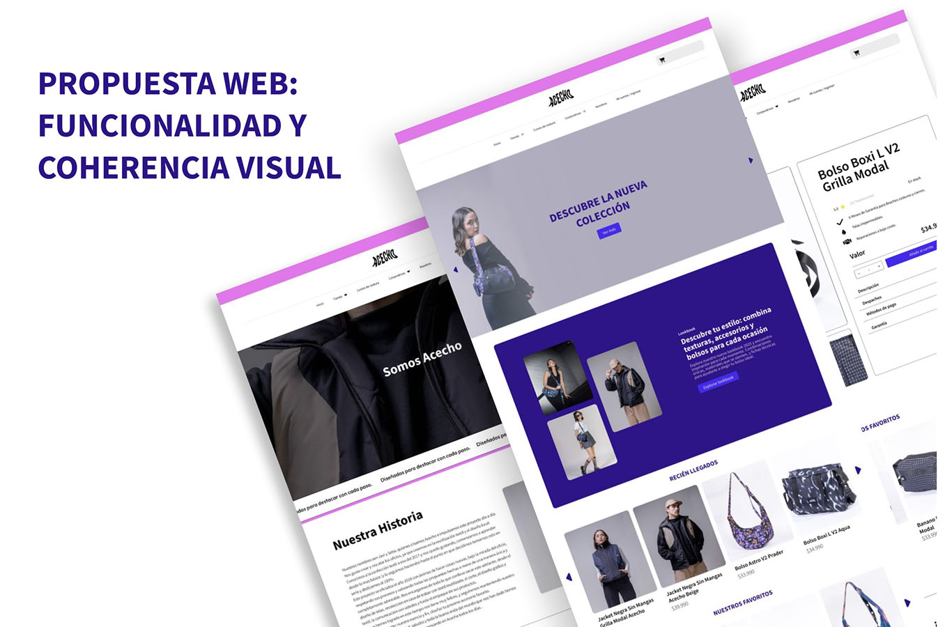 IMPULSA PYME – Proyecto Profesional SC