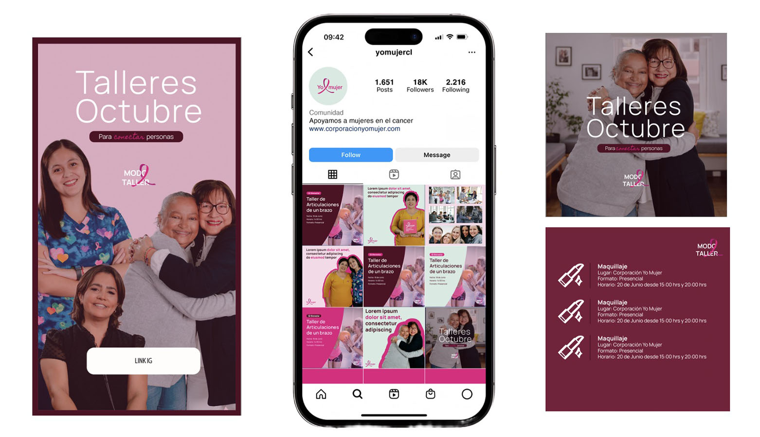 IMPULSA PYME – Proyecto Profesional SC