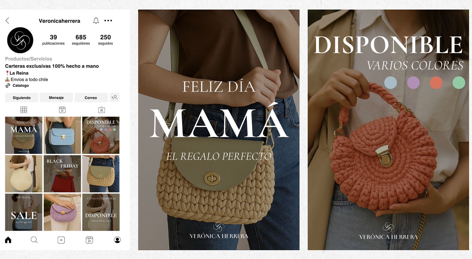 IMPULSA PYME – Proyecto Profesional SC