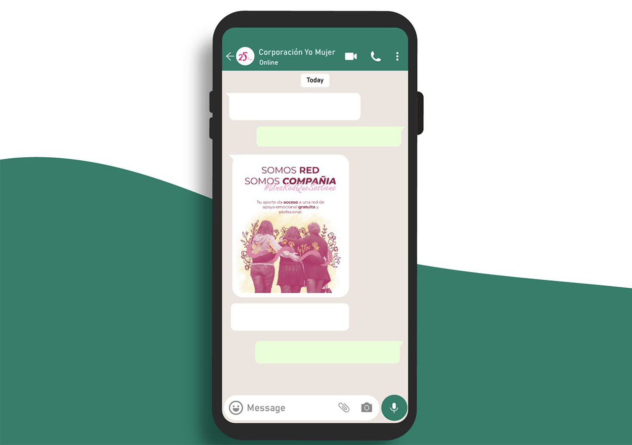 IMPULSA PYME – Proyecto Profesional SC