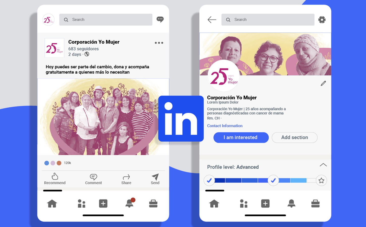 IMPULSA PYME – Proyecto Profesional SC