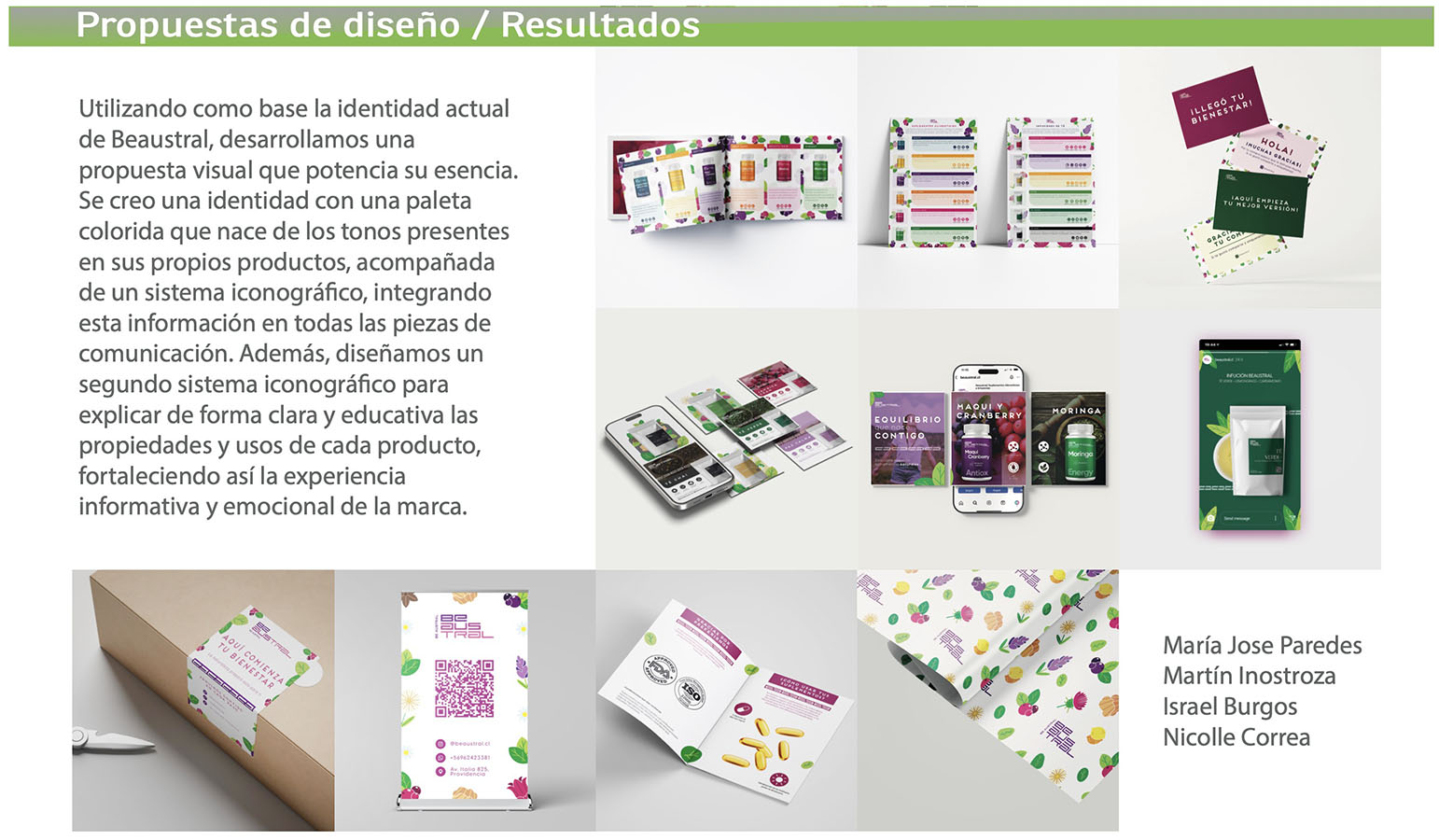 IMPULSA PYME – Proyecto Profesional PAO