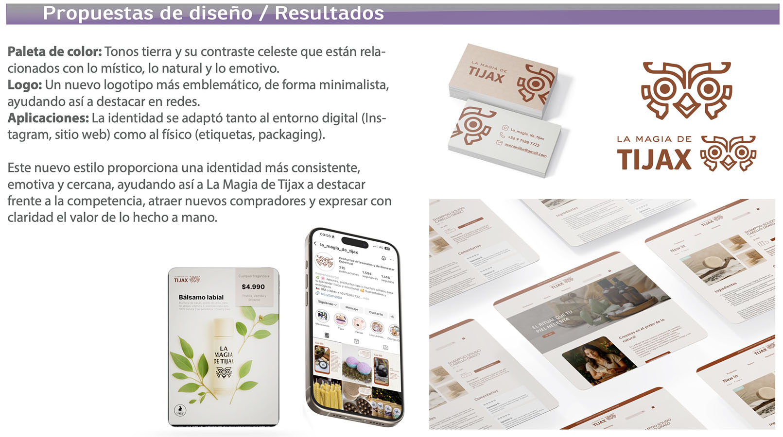 IMPULSA PYME – Proyecto Profesional PAO