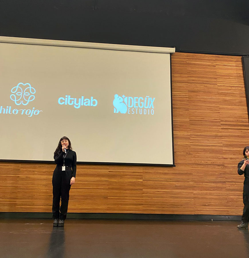 IMPULSA PYME – Proyecto Profesional PAO