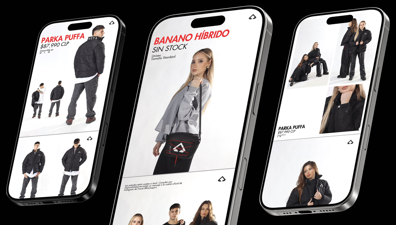 IMPULSA PYME – Proyecto Profesional – SA