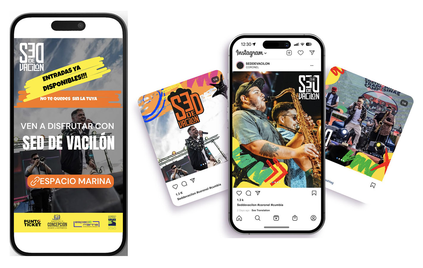 IMPULSA PYME – Proyecto Profesional SA