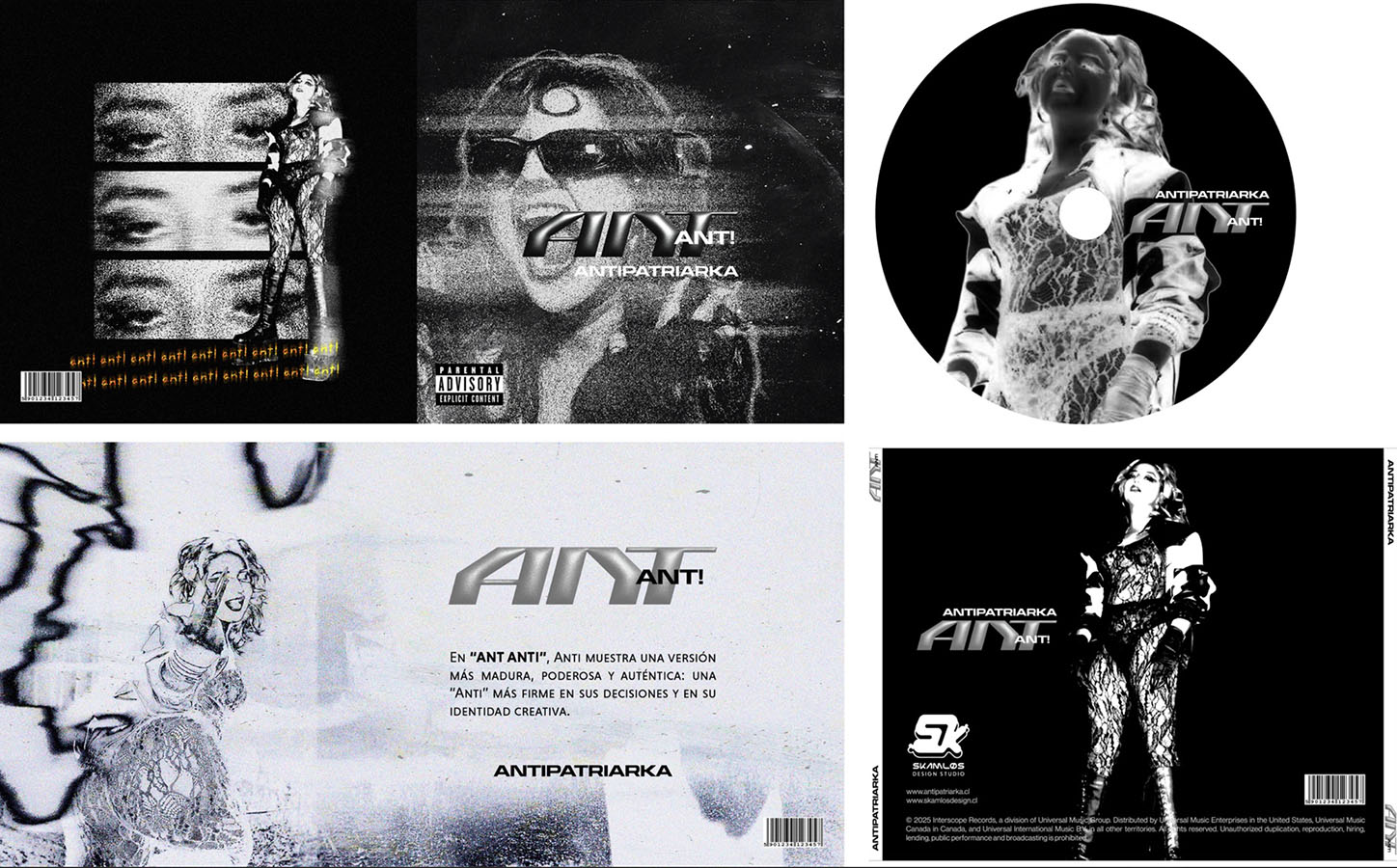 IMPULSA PYME – Proyecto Profesional SA