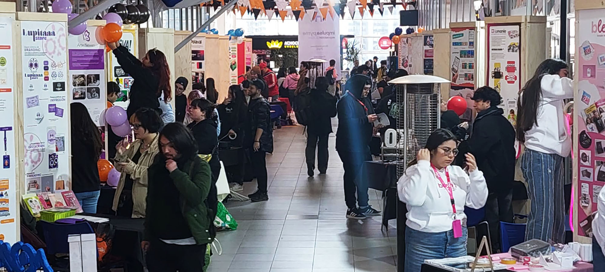 IMPULSA PYME – Proyecto Profesional PV